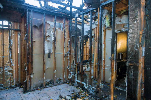 Professional Smoke Damage Removal technician working in Sardis City, AL